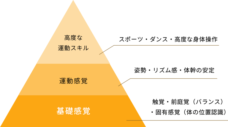 発達ピラミッド